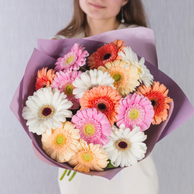 Букет из цветных мини гербер №35812