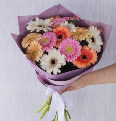 Букет из цветных мини гербер №35812